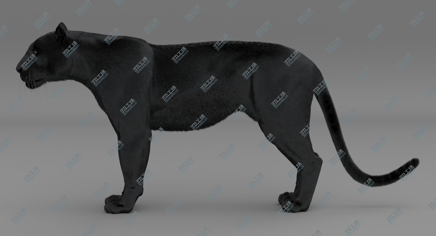 images/goods_img/2021040161/Black Panther (Rigged-Fur) 3D model/3.jpg